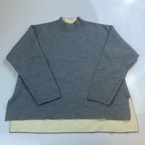 Everlane Wool Crew Neck Sweater S133-3